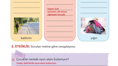 3. Sınıf Türkçe Meb Yayınları Sayfa 32 Cevapları