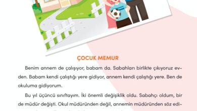 3. Sınıf Türkçe Meb Yayınları Sayfa 36 Cevapları