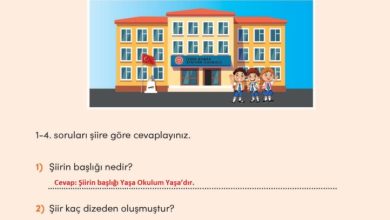 3. Sınıf Türkçe Meb Yayınları Sayfa 38 Cevapları