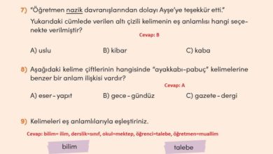 3. Sınıf Türkçe Meb Yayınları Sayfa 39 Cevapları