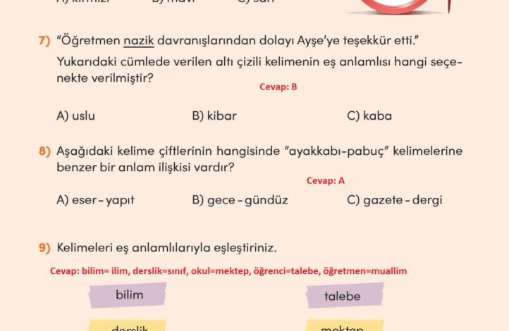 3. Sınıf Türkçe Meb Yayınları Sayfa 39 Cevapları