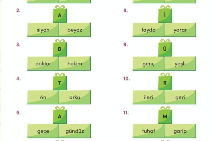 3. Sınıf Türkçe Meb Yayınları Sayfa 47 Cevapları