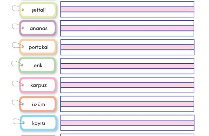 3. Sınıf Türkçe Meb Yayınları Sayfa 50 Cevapları