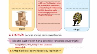 3. Sınıf Türkçe Meb Yayınları Sayfa 54 Cevapları