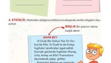 3. Sınıf Türkçe Meb Yayınları Sayfa 55 Cevapları