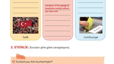 3. Sınıf Türkçe Meb Yayınları Sayfa 60 Cevapları