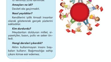 3. Sınıf Türkçe Meb Yayınları Sayfa 71 Cevapları