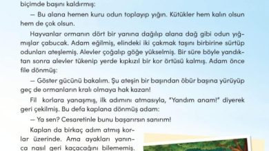 3. Sınıf Türkçe Meb Yayınları Sayfa 77 Cevapları