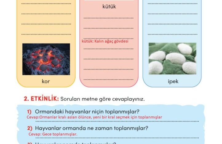 3. Sınıf Türkçe Meb Yayınları Sayfa 79 Cevapları