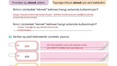 3. Sınıf Türkçe Meb Yayınları Sayfa 81 Cevapları