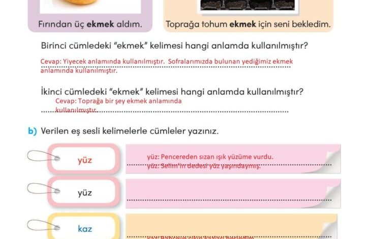 3. Sınıf Türkçe Meb Yayınları Sayfa 81 Cevapları