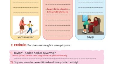 3. Sınıf Türkçe Meb Yayınları Sayfa 86 Cevapları