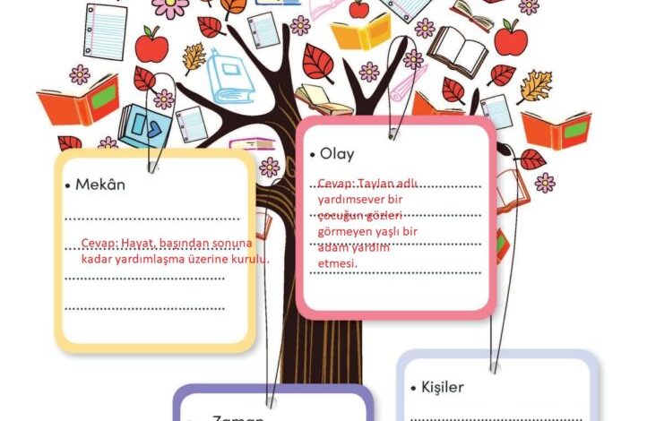 3. Sınıf Türkçe Meb Yayınları Sayfa 87 Cevapları