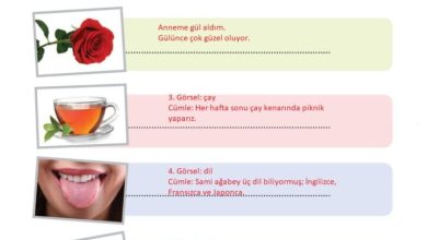 3. Sınıf Türkçe Meb Yayınları Sayfa 88 Cevapları