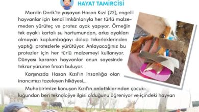 3. Sınıf Türkçe Meb Yayınları Sayfa 92 Cevapları