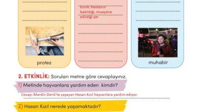 3. Sınıf Türkçe Meb Yayınları Sayfa 94 Cevapları