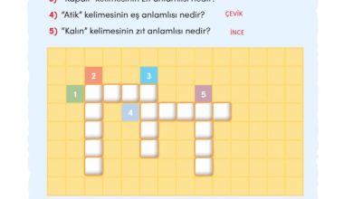 3. Sınıf Türkçe Meb Yayınları Sayfa 95 Cevapları