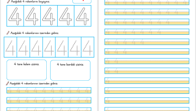 4 Rakamı Öğretimi (Yeni Müfredata Uygun)