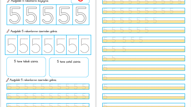 5 Rakamı Öğretimi (Yeni Müfredata Uygun)