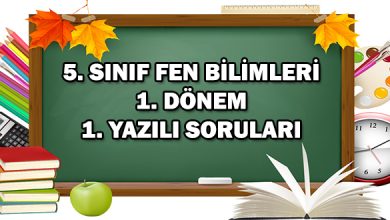 5. Sınıf Fen Bilimleri 1. Dönem 1. Yazılı Soruları