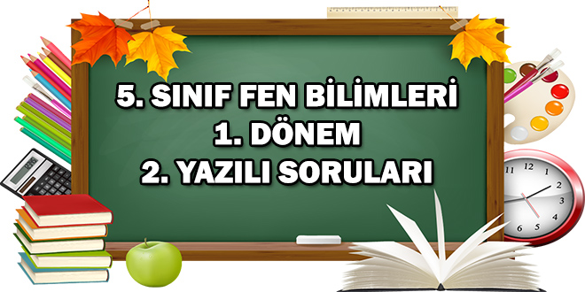 5. Sınıf Fen Bilimleri 1. Dönem 2. Yazılı Soruları