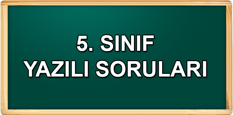 5. Sınıf Yazılı Soruları ve Cevapları