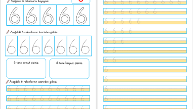 6 Rakamı Öğretimi (Yeni Müfredata Uygun)