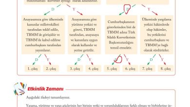 6. Sınıf Evos Yayınları Sosyal Bilgiler Ders Kitabı Sayfa 214 Cevapları