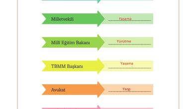 6. Sınıf Evos Yayınları Sosyal Bilgiler Ders Kitabı Sayfa 216 Cevapları