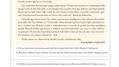 6. Sınıf Evos Yayınları Sosyal Bilgiler Ders Kitabı Sayfa 220 Cevapları