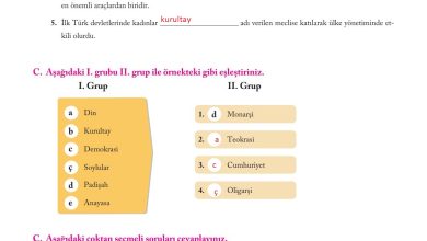 6. Sınıf Evos Yayınları Sosyal Bilgiler Ders Kitabı Sayfa 239 Cevapları