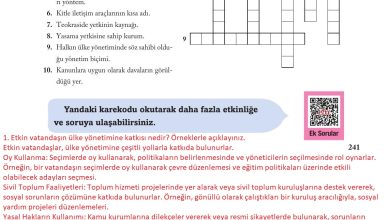 6. Sınıf Evos Yayınları Sosyal Bilgiler Ders Kitabı Sayfa 241 Cevapları