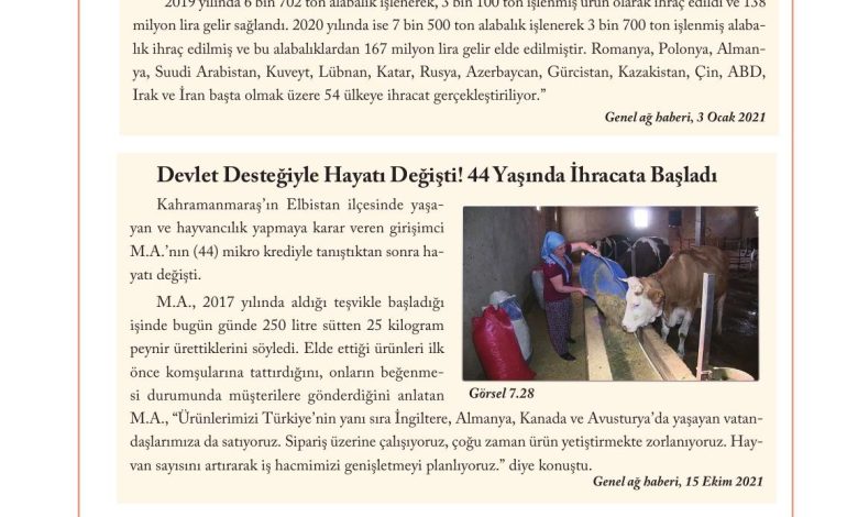 6. Sınıf Evos Yayınları Sosyal Bilgiler Ders Kitabı Sayfa 263 Cevapları