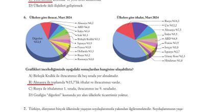 6. Sınıf Evos Yayınları Sosyal Bilgiler Ders Kitabı Sayfa 276 Cevapları