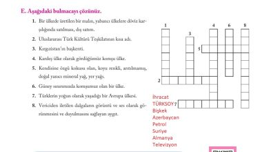 6. Sınıf Evos Yayınları Sosyal Bilgiler Ders Kitabı Sayfa 277 Cevapları