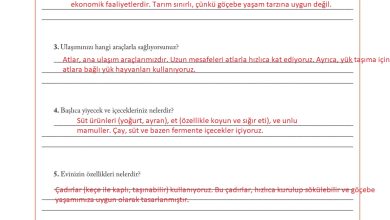 6. Sınıf Evos Yayınları Sosyal Bilgiler Ders Kitabı Sayfa 52 Cevapları