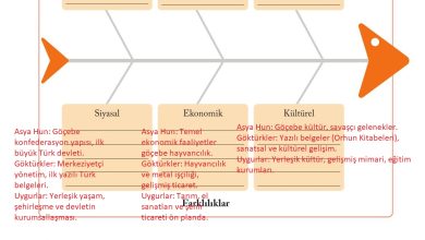 6. Sınıf Evos Yayınları Sosyal Bilgiler Ders Kitabı Sayfa 55 Cevapları