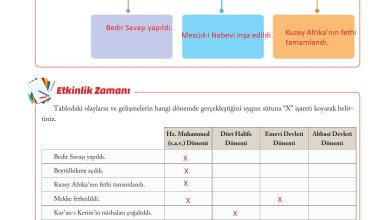 6. Sınıf Evos Yayınları Sosyal Bilgiler Ders Kitabı Sayfa 64 Cevapları