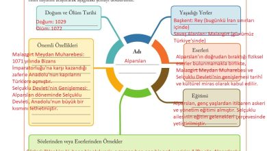 6. Sınıf Evos Yayınları Sosyal Bilgiler Ders Kitabı Sayfa 80 Cevapları