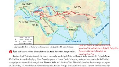 6. Sınıf Evos Yayınları Sosyal Bilgiler Ders Kitabı Sayfa 83 Cevapları