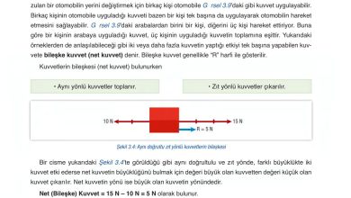 6. Sınıf Gün Yayınları Fen Bilimleri Ders Kitabı Sayfa 101 Cevapları