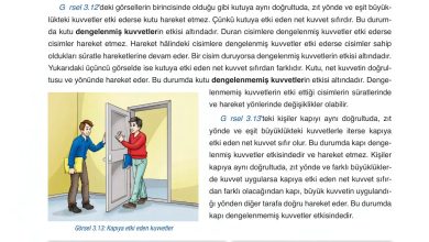 6. Sınıf Gün Yayınları Fen Bilimleri Ders Kitabı Sayfa 104 Cevapları