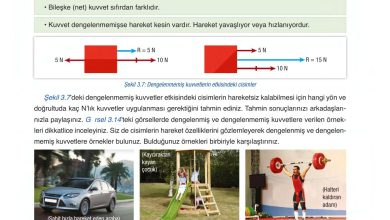 6. Sınıf Gün Yayınları Fen Bilimleri Ders Kitabı Sayfa 105 Cevapları