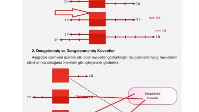 6. Sınıf Gün Yayınları Fen Bilimleri Ders Kitabı Sayfa 106 Cevapları