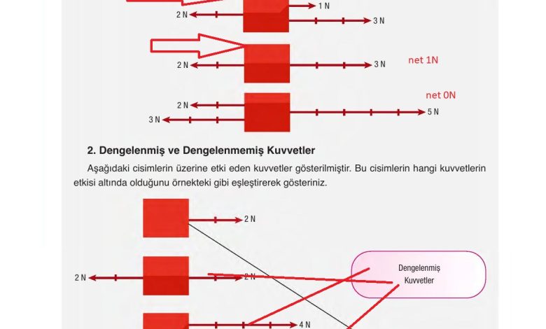 6. Sınıf Gün Yayınları Fen Bilimleri Ders Kitabı Sayfa 106 Cevapları