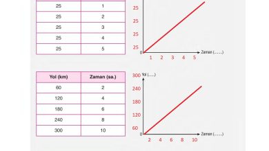 6. Sınıf Gün Yayınları Fen Bilimleri Ders Kitabı Sayfa 112 Cevapları