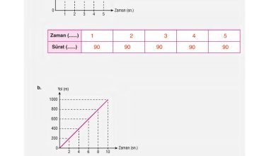 6. Sınıf Gün Yayınları Fen Bilimleri Ders Kitabı Sayfa 113 Cevapları