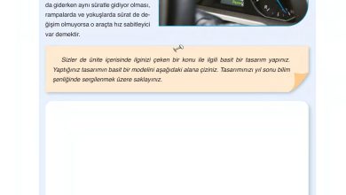 6. Sınıf Gün Yayınları Fen Bilimleri Ders Kitabı Sayfa 116 Cevapları