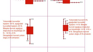 6. Sınıf Gün Yayınları Fen Bilimleri Ders Kitabı Sayfa 118 Cevapları