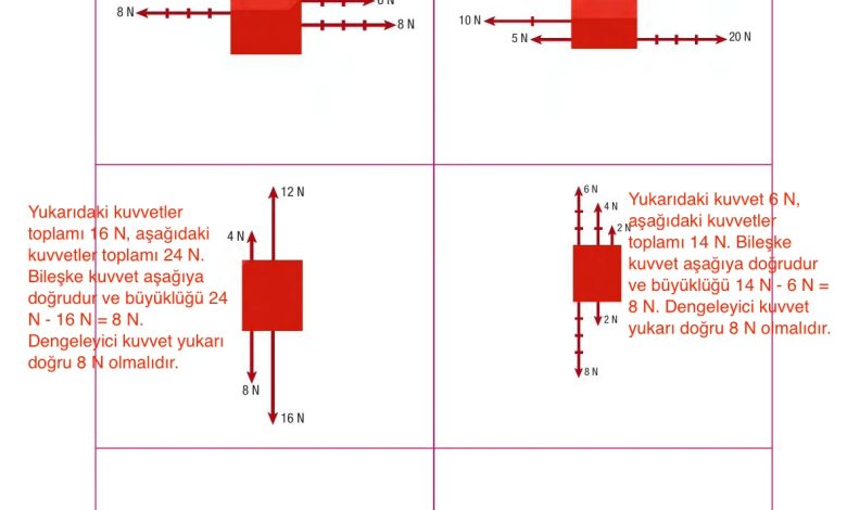 6. Sınıf Gün Yayınları Fen Bilimleri Ders Kitabı Sayfa 118 Cevapları